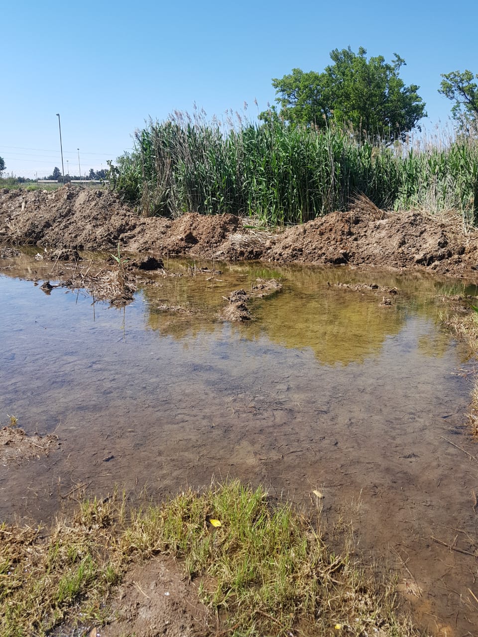 WhatsApp Image 2020-08-20 at 4.58.19 PM WhatsApp Image 2020-08-20 at 4.58.19 PM