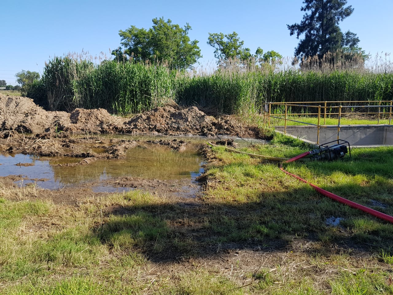 WhatsApp Image 2020-08-20 at 4.58.20 PM (1) WhatsApp Image 2020-08-20 at 4.58.20 PM (1)